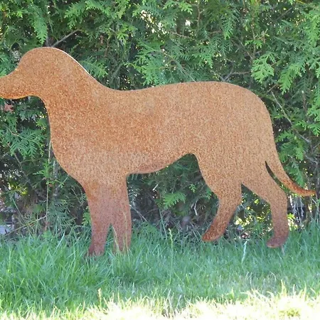 Am Fleesensee * 高恩莱宾